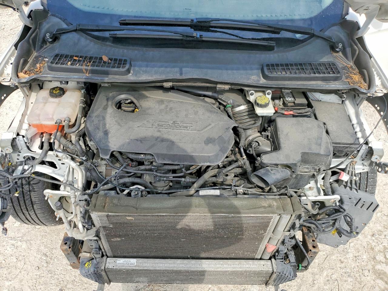 Ford Escape Se Sport
