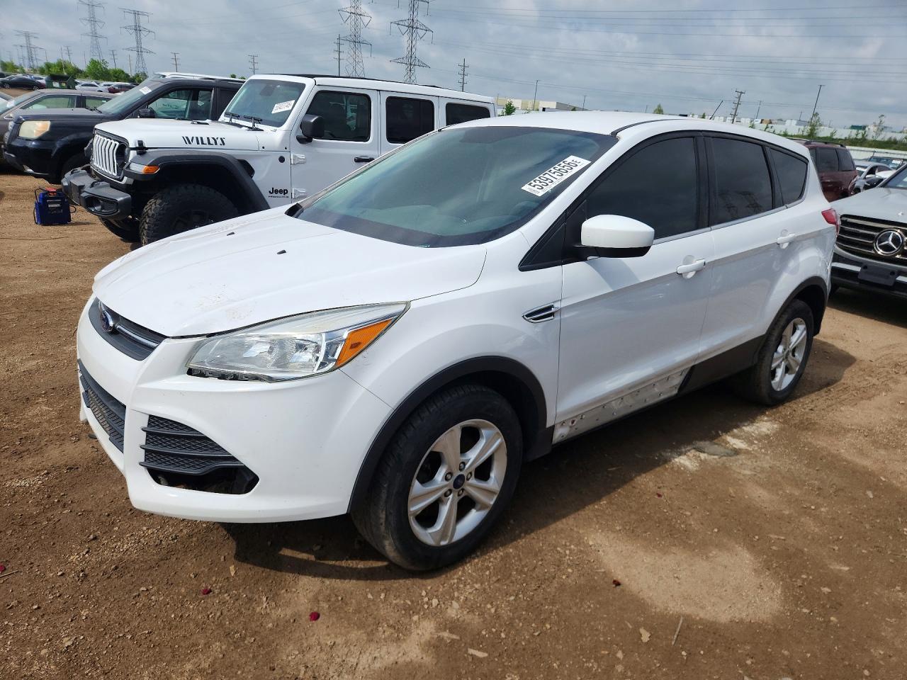Salvage Ford Escape Image