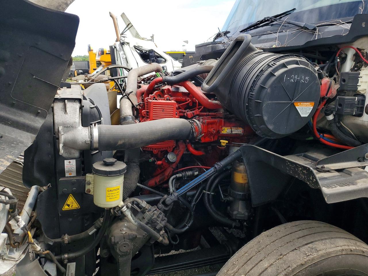 International Prostar