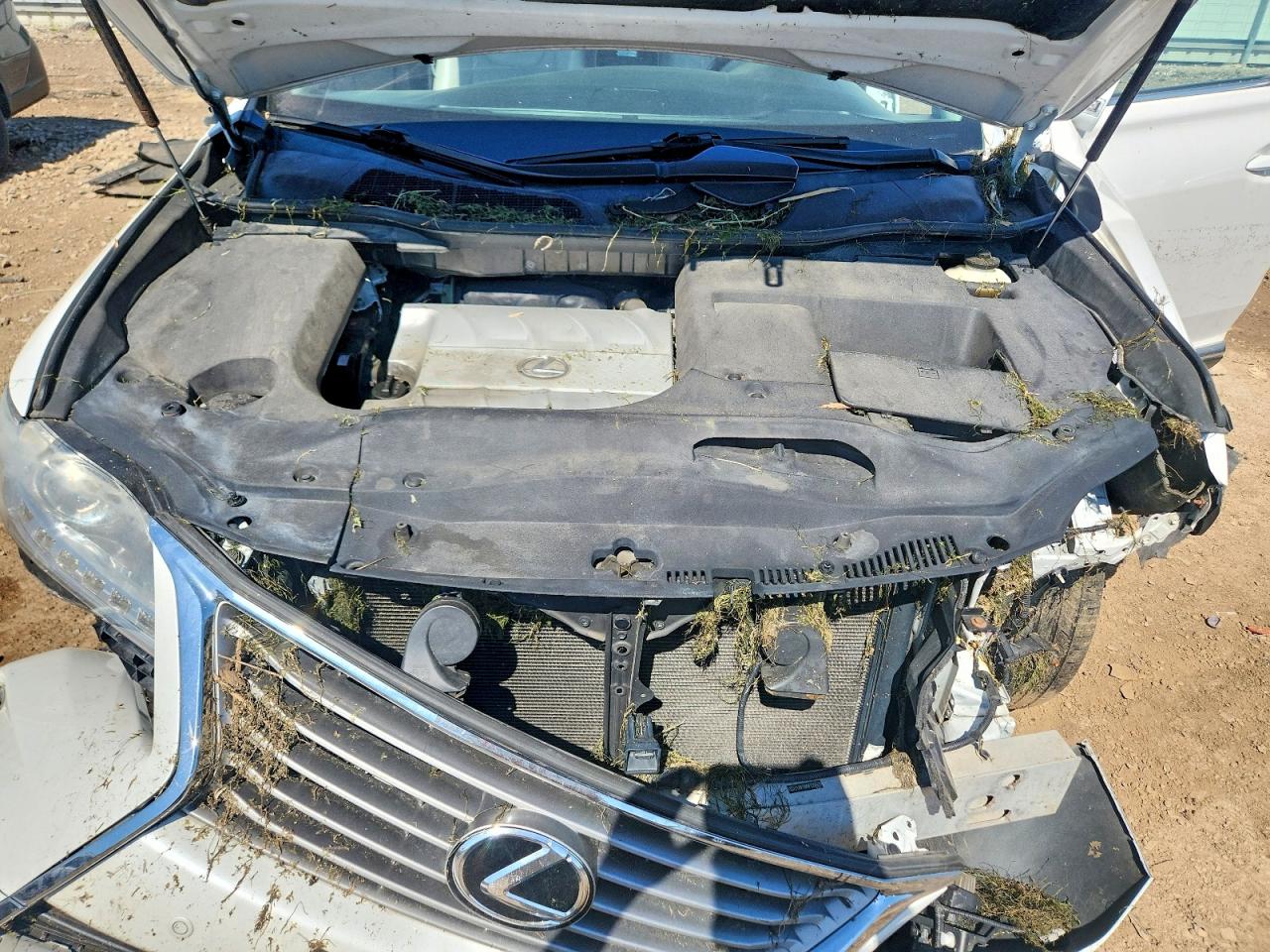 Lexus RX Base