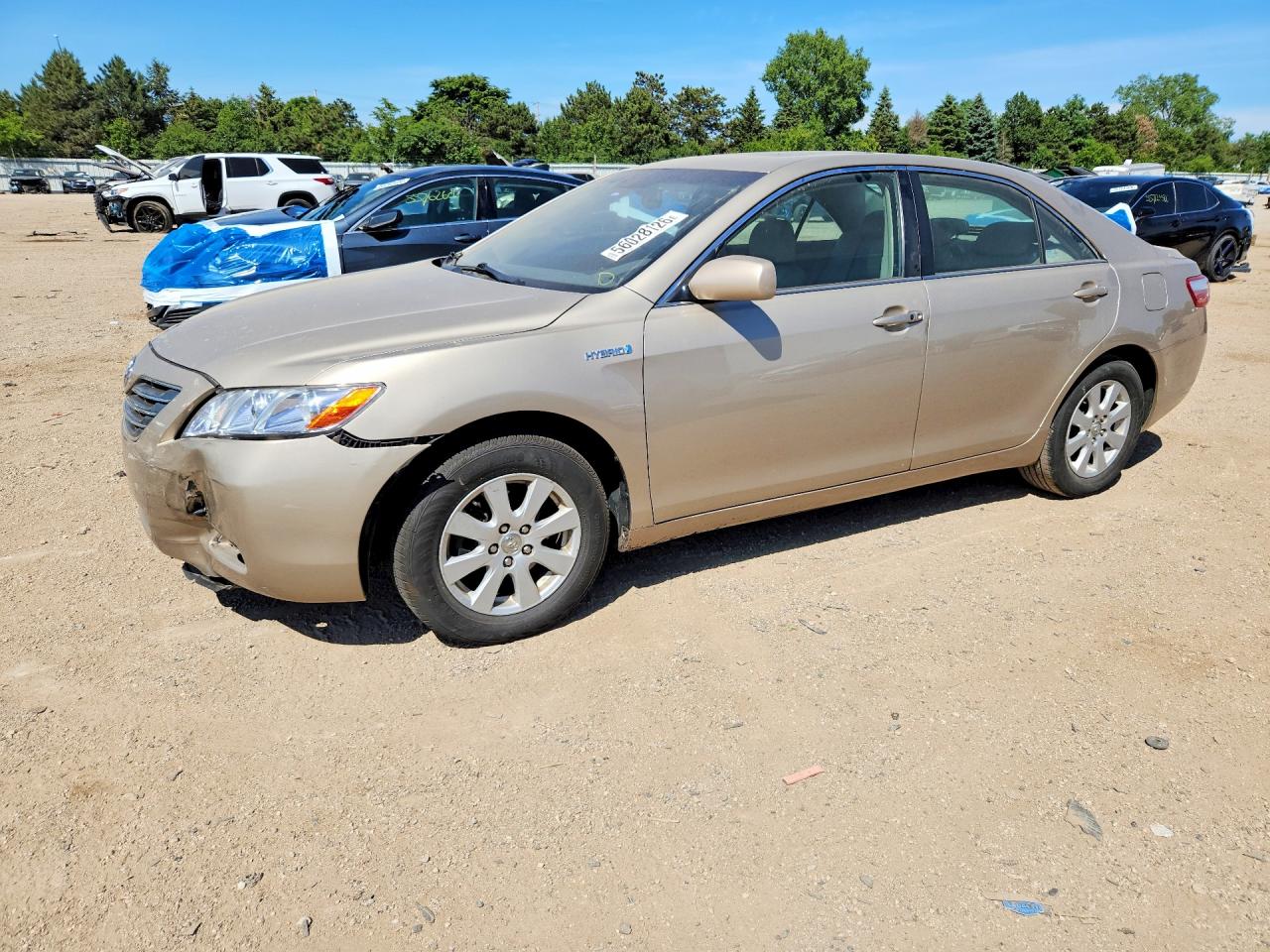 Salvage Toyota Camry Image
