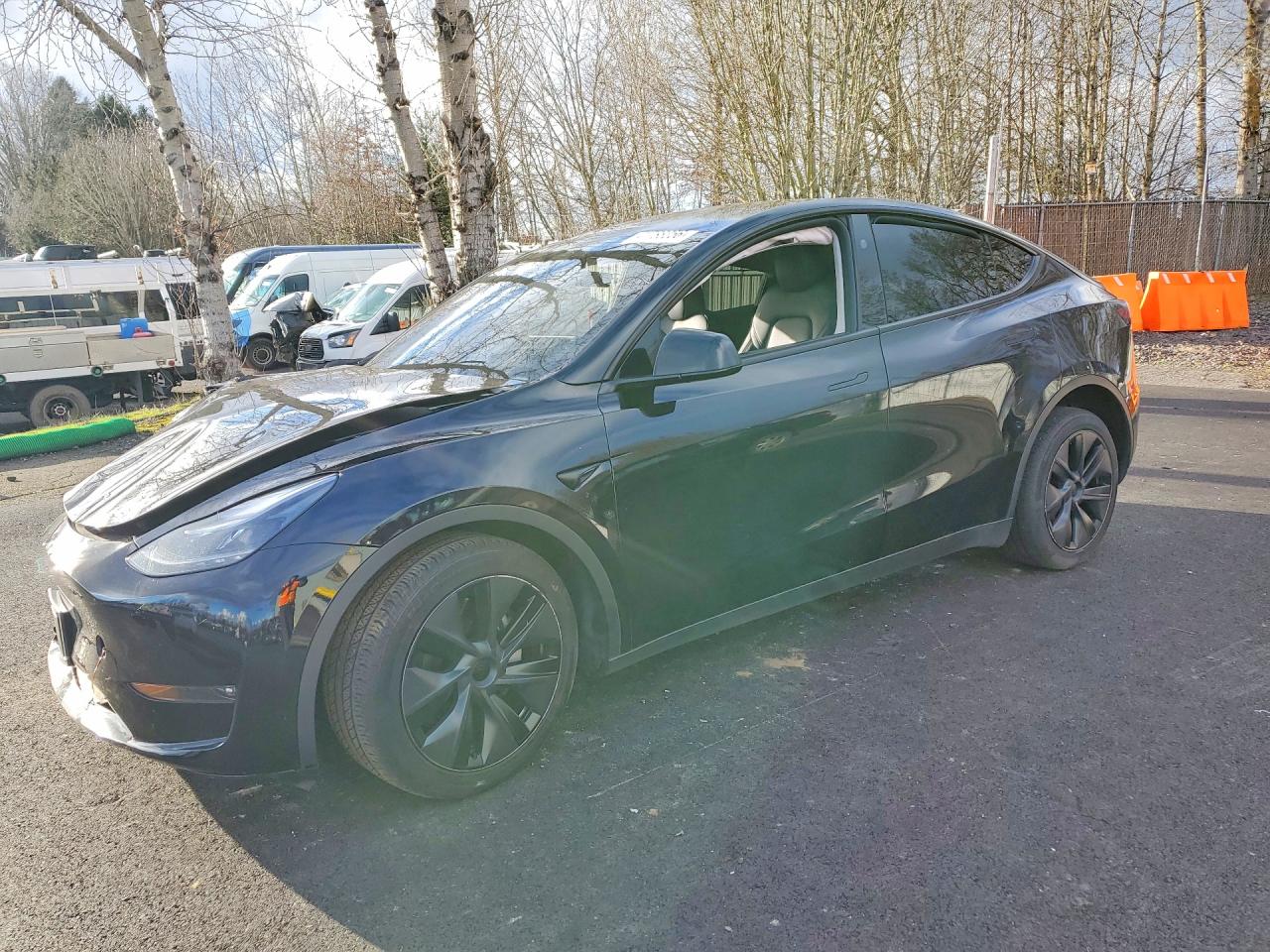 Salvage Tesla Model Y Image