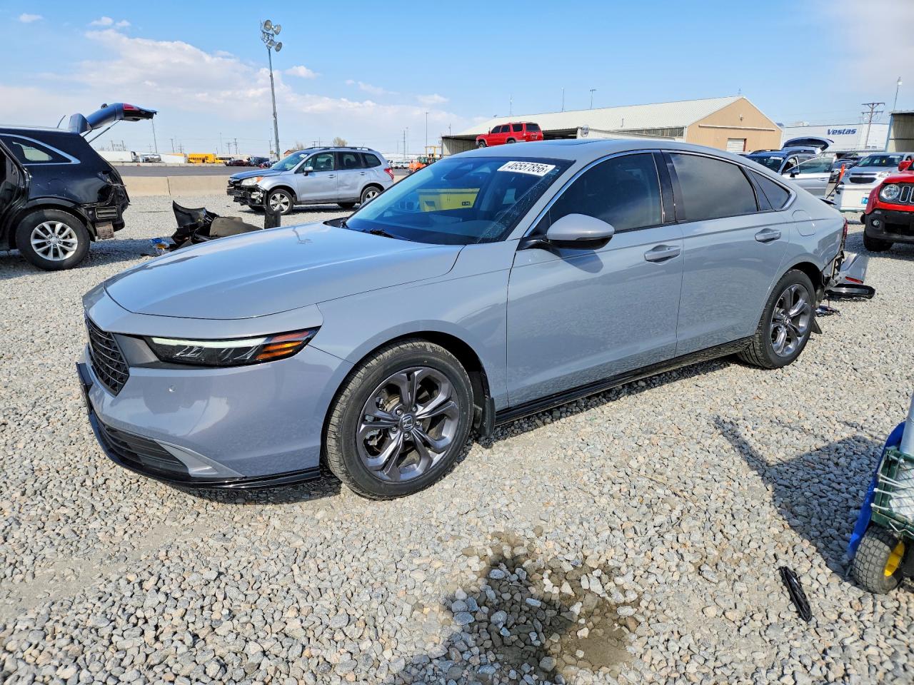 Salvage Honda Accord Image