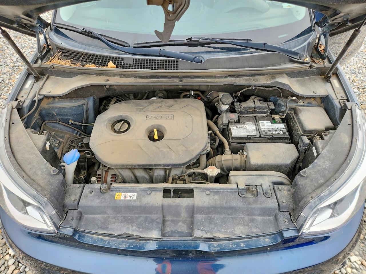 Kia Soul +