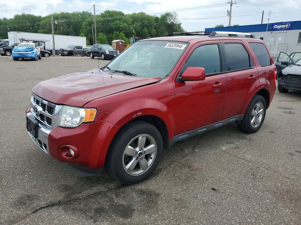 Salvage Ford Escape Image