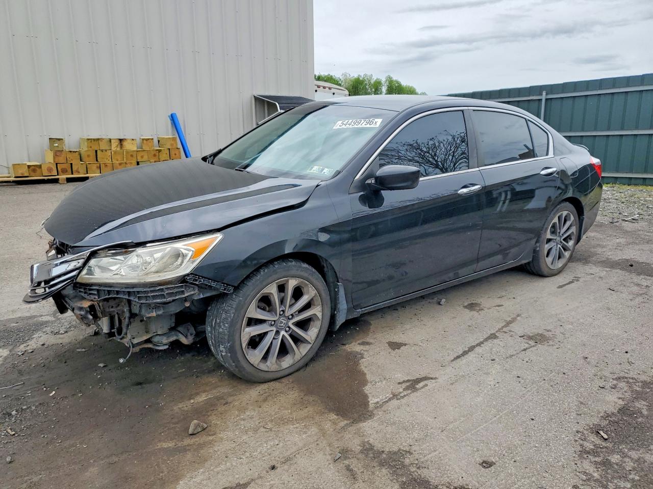 Salvage Honda Accord Image
