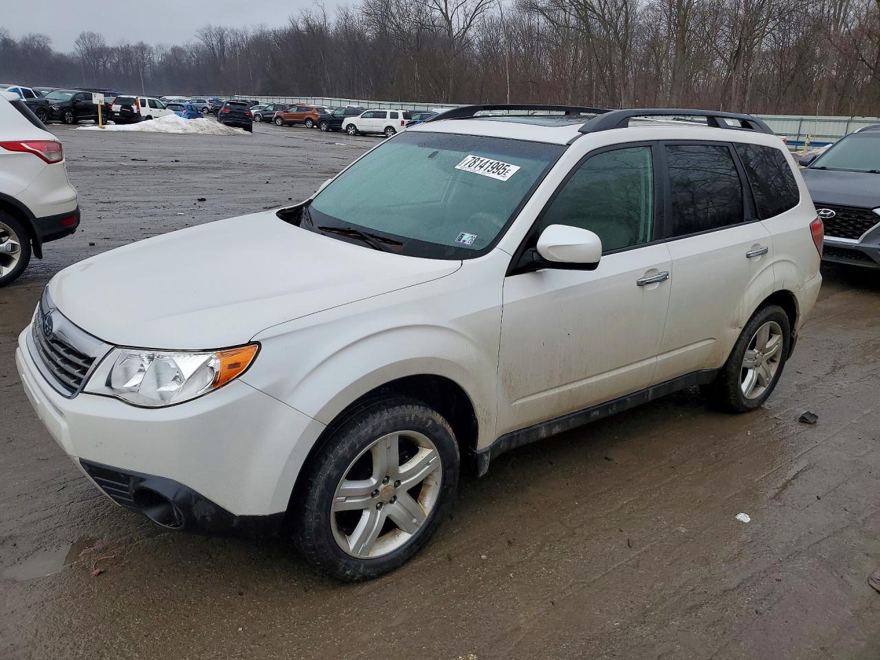 Salvage Subaru Forester Image