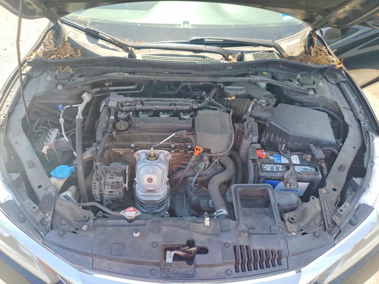 Honda Accord Ex