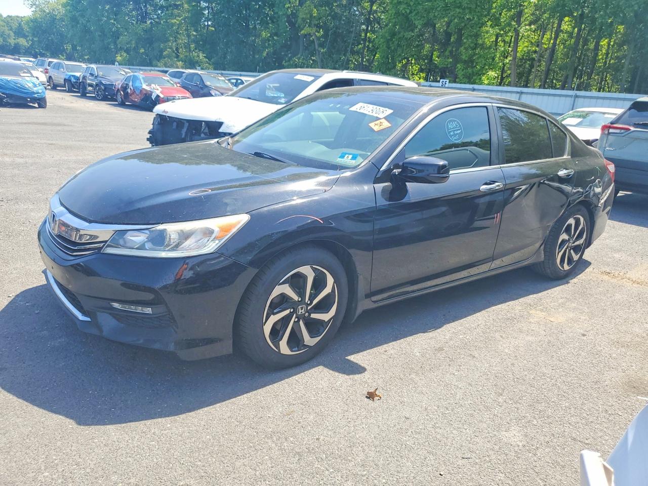 Salvage Honda Accord Image