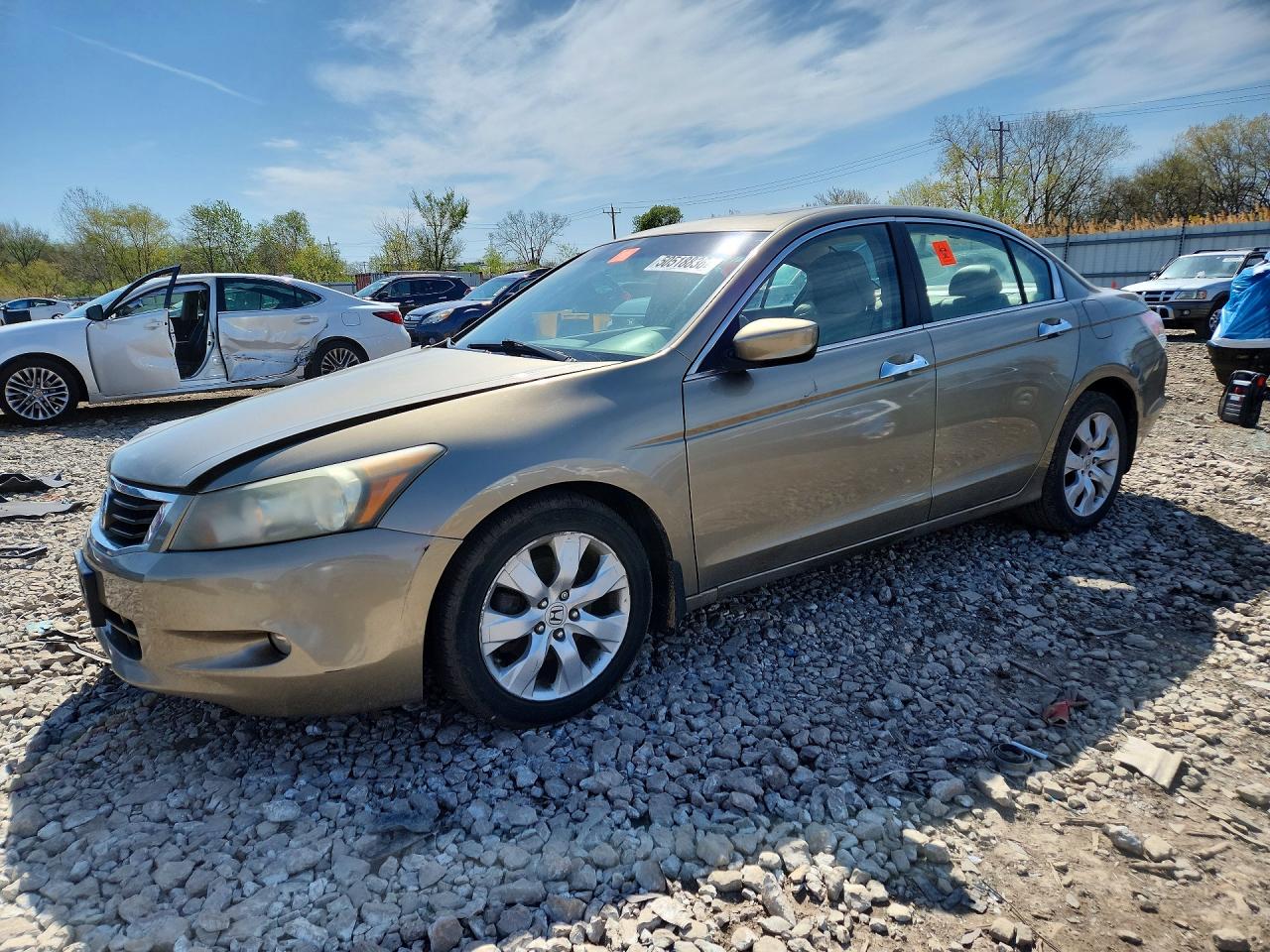 Salvage Honda Accord Image