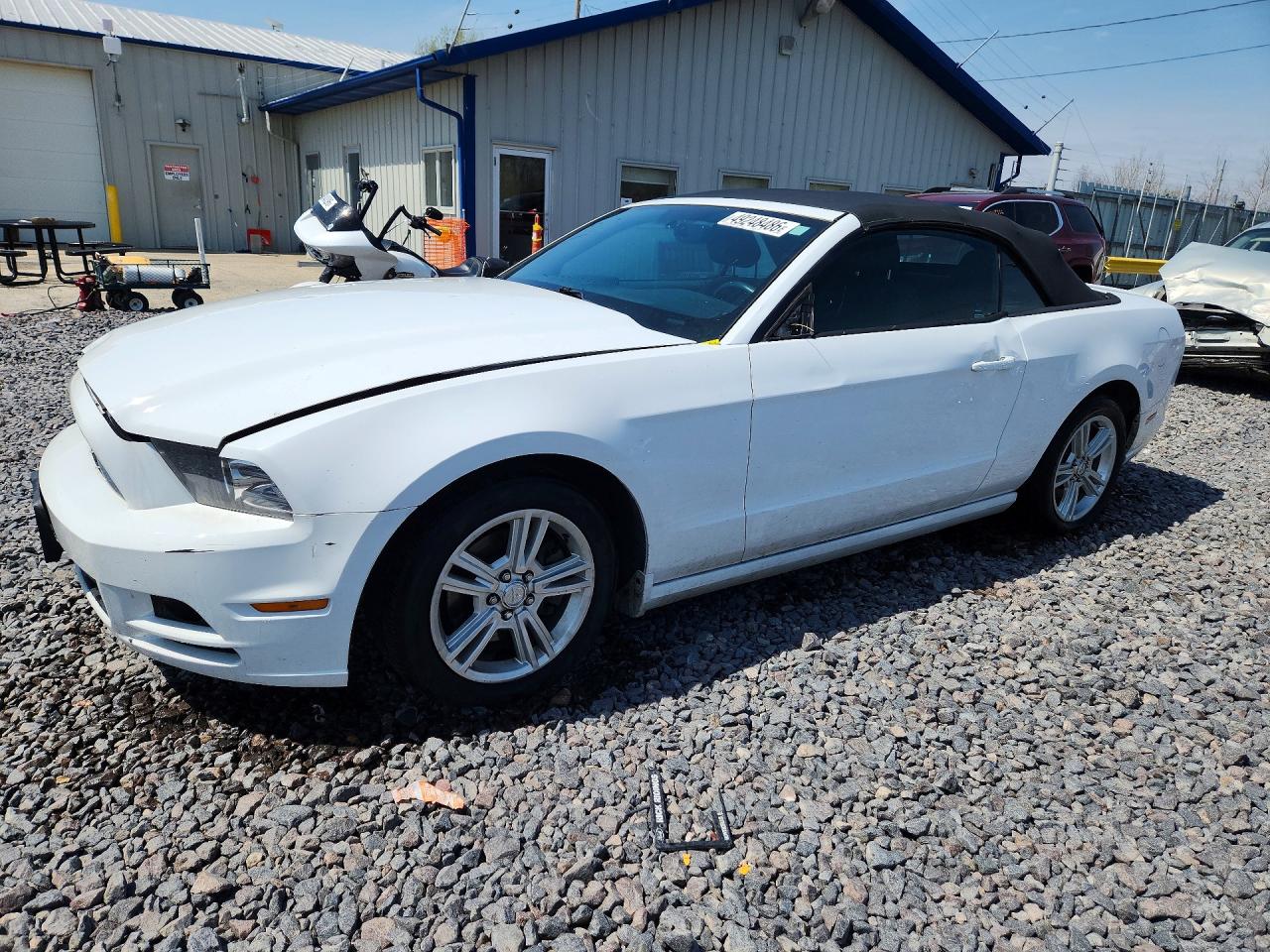 Salvage Ford Mustang Image