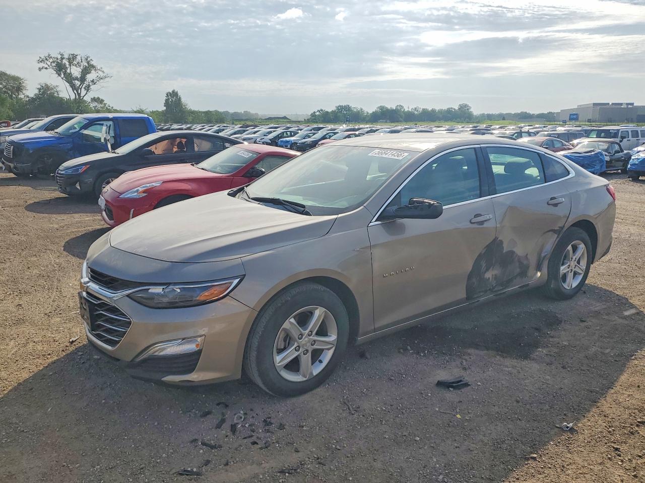 Salvage Chevrolet Malibu Image