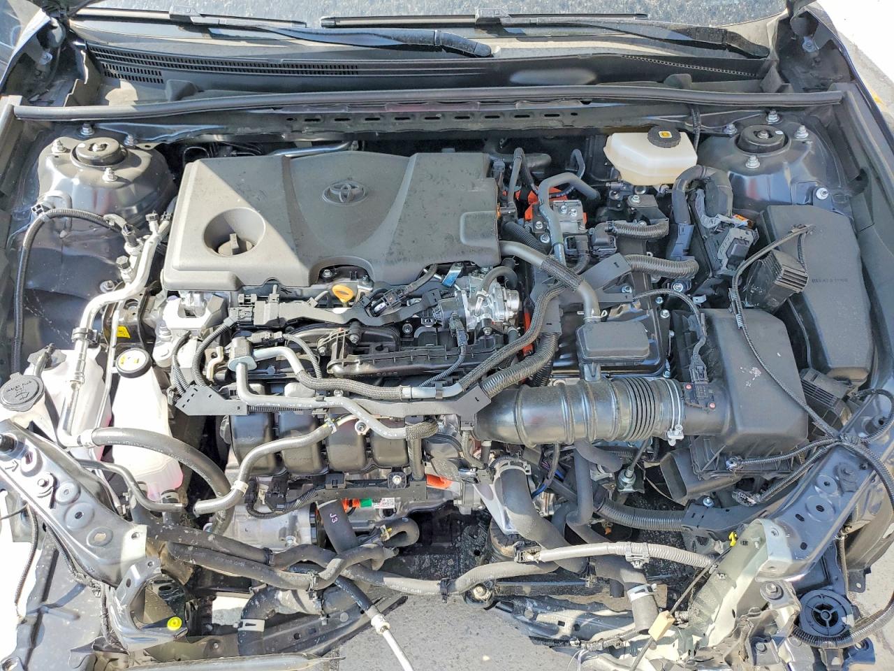 Toyota Camry Xle