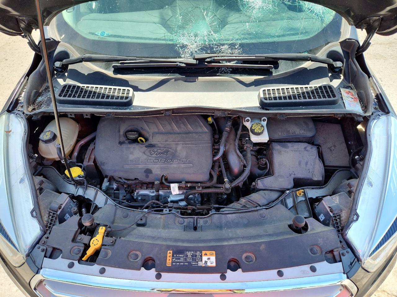 Ford Escape Se