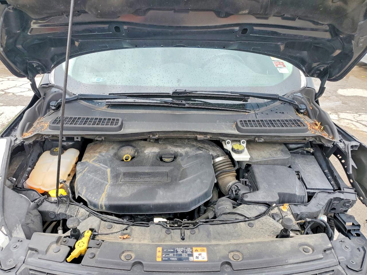 Ford Escape Se