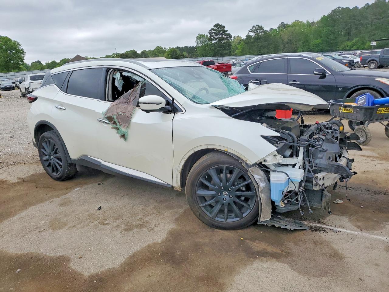 Nissan Murano Platinum