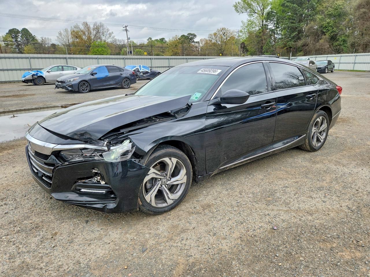 Salvage Honda Accord Image