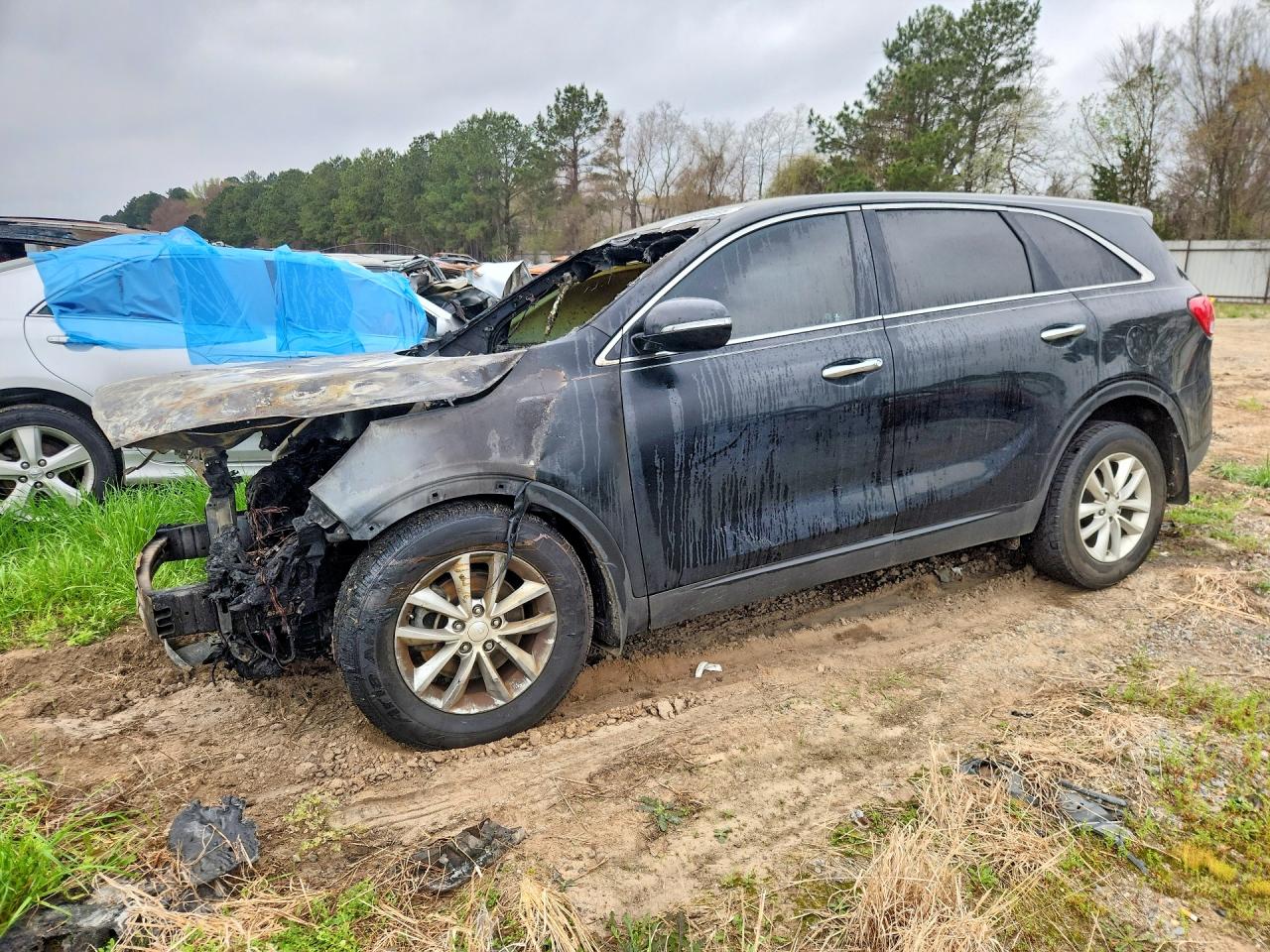 Salvage Kia Sorento Image