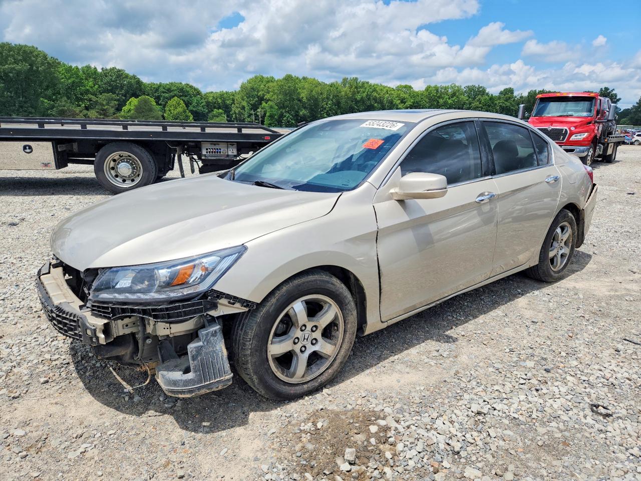 Salvage Honda Accord Image
