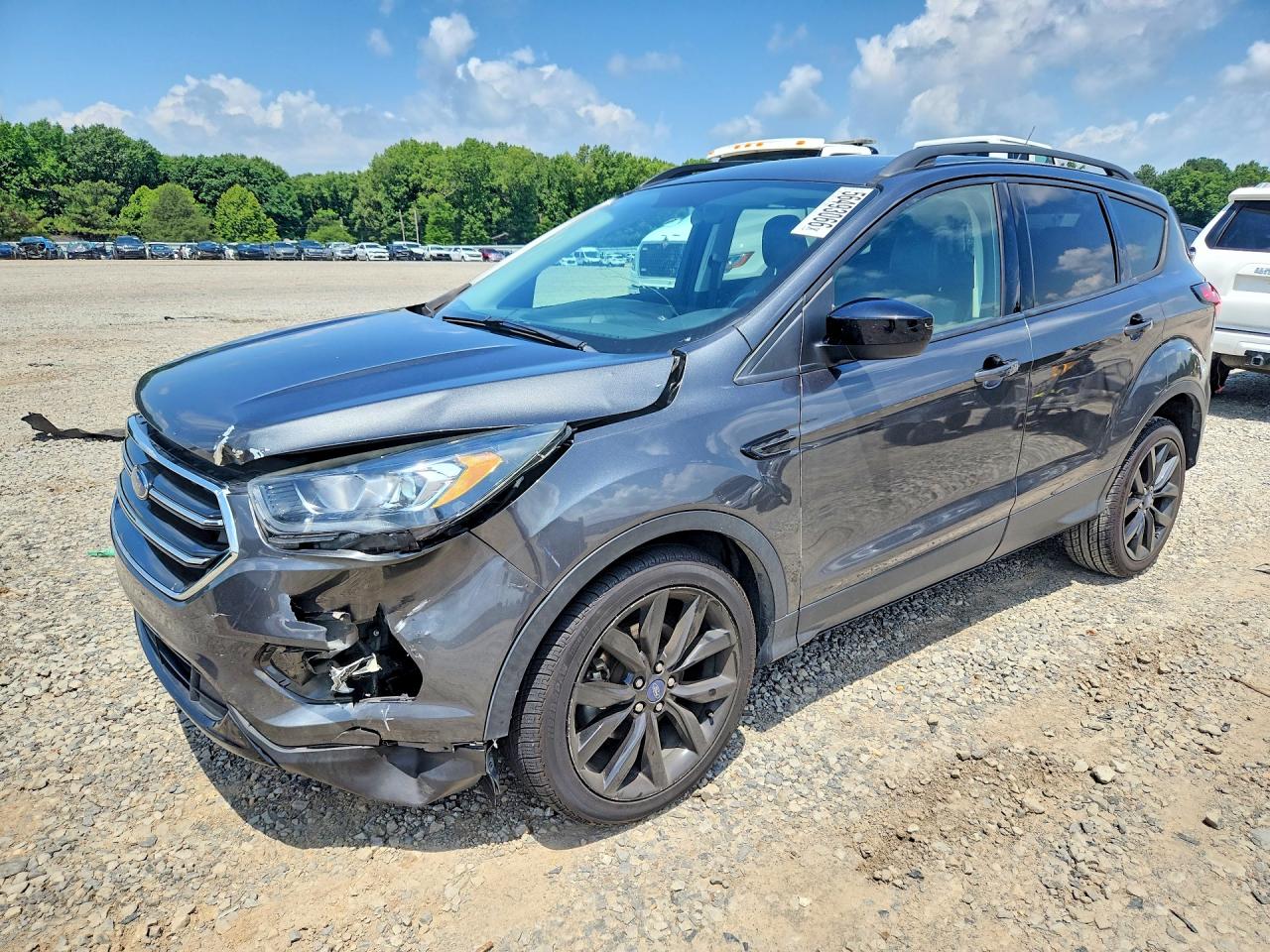 Salvage Ford Escape Image