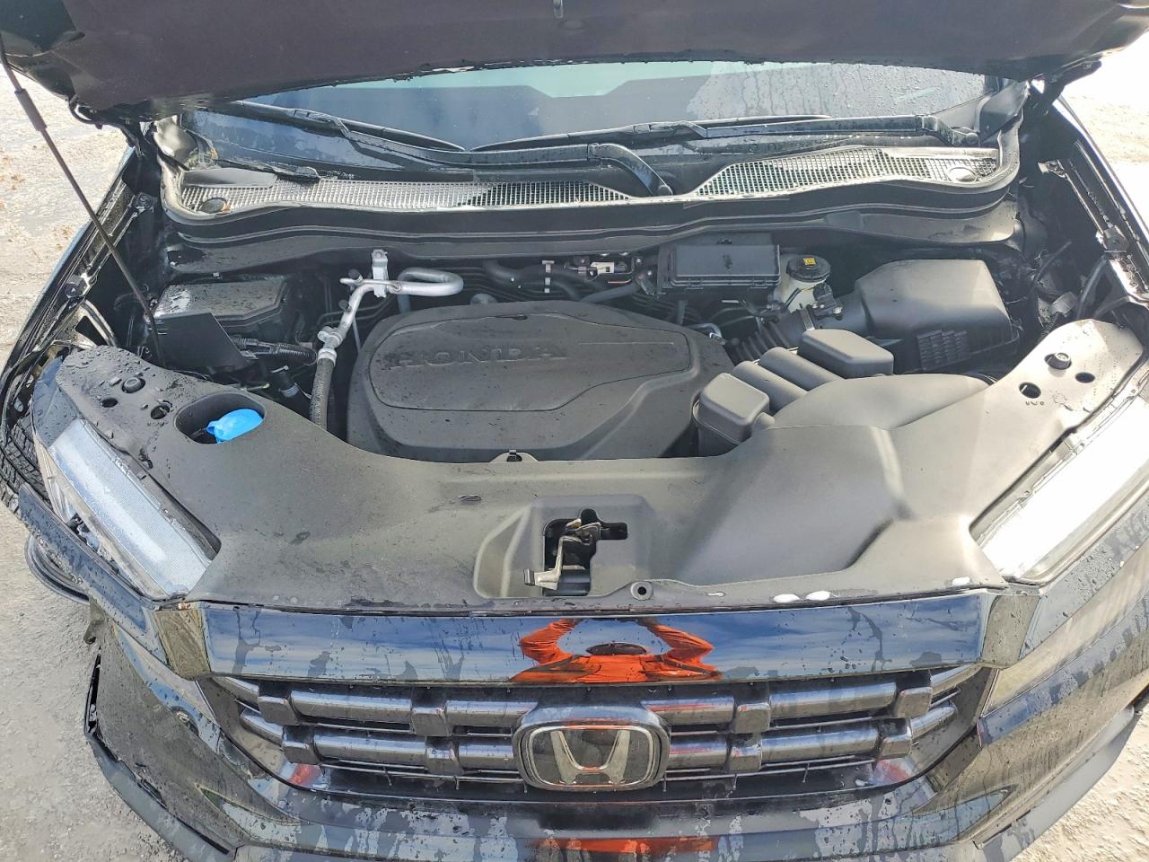 Honda Ridgeline Sport