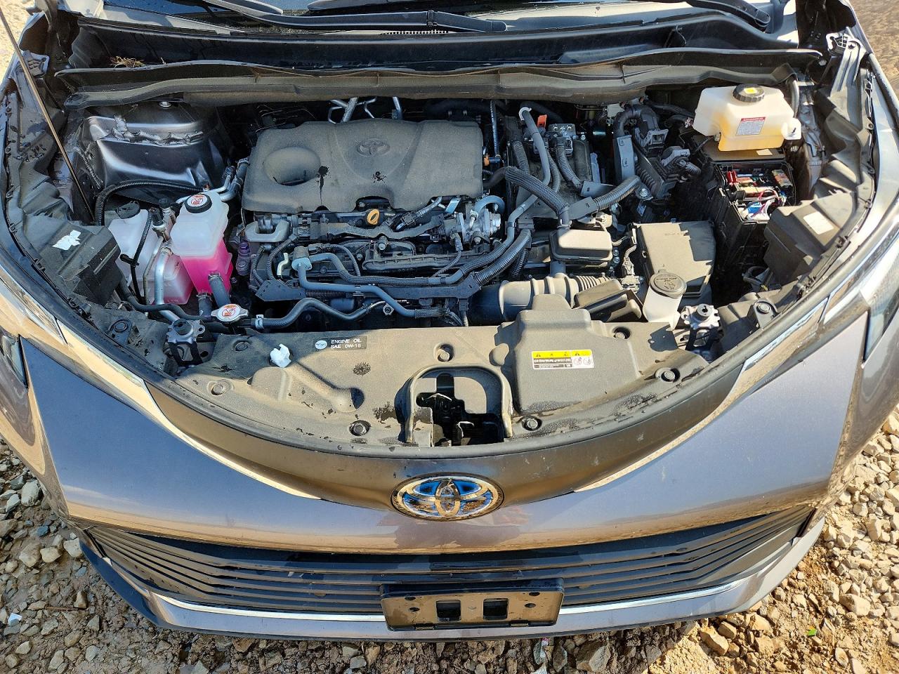 Toyota Sienna Xle