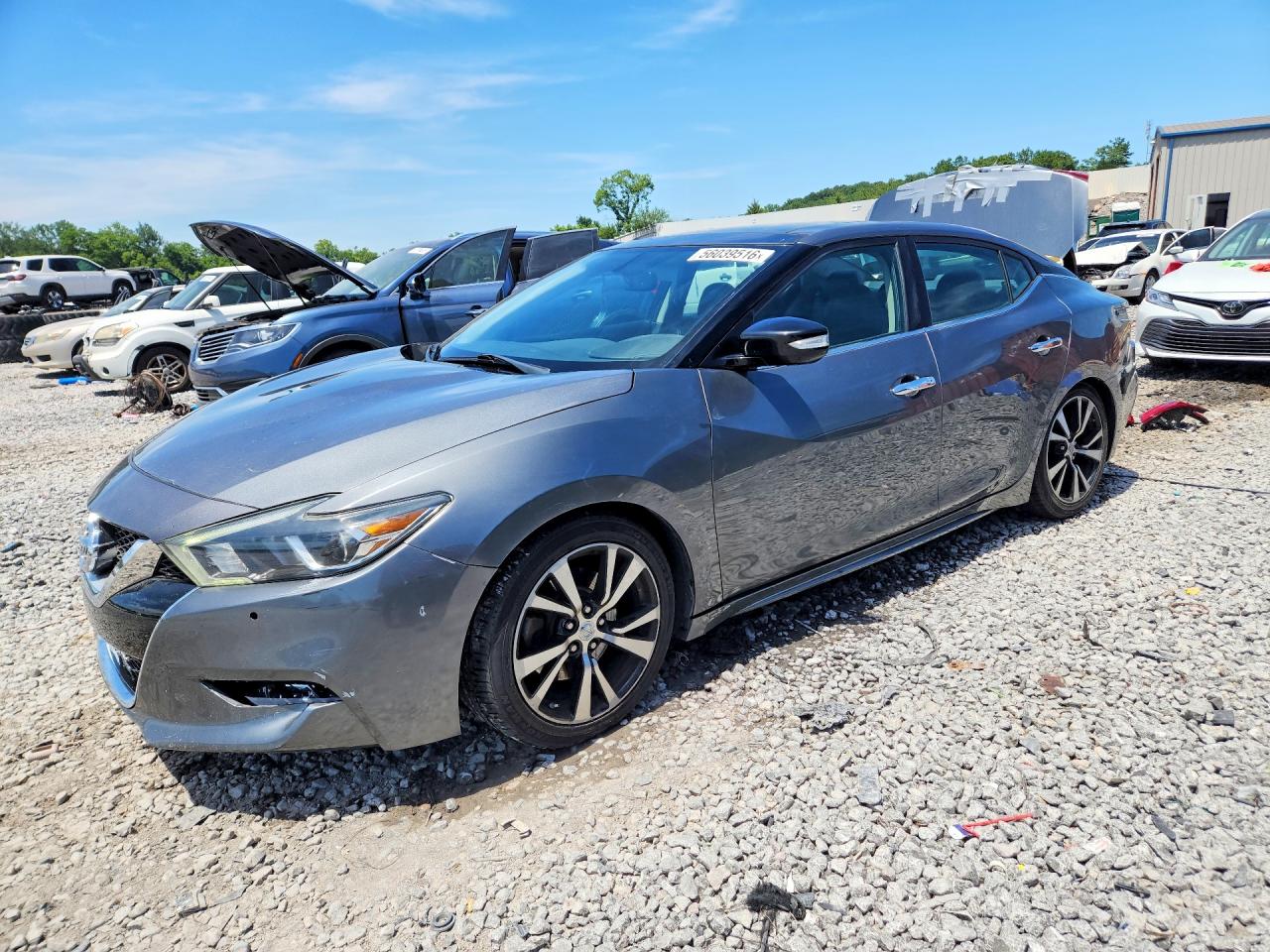 Salvage Nissan Maxima Image