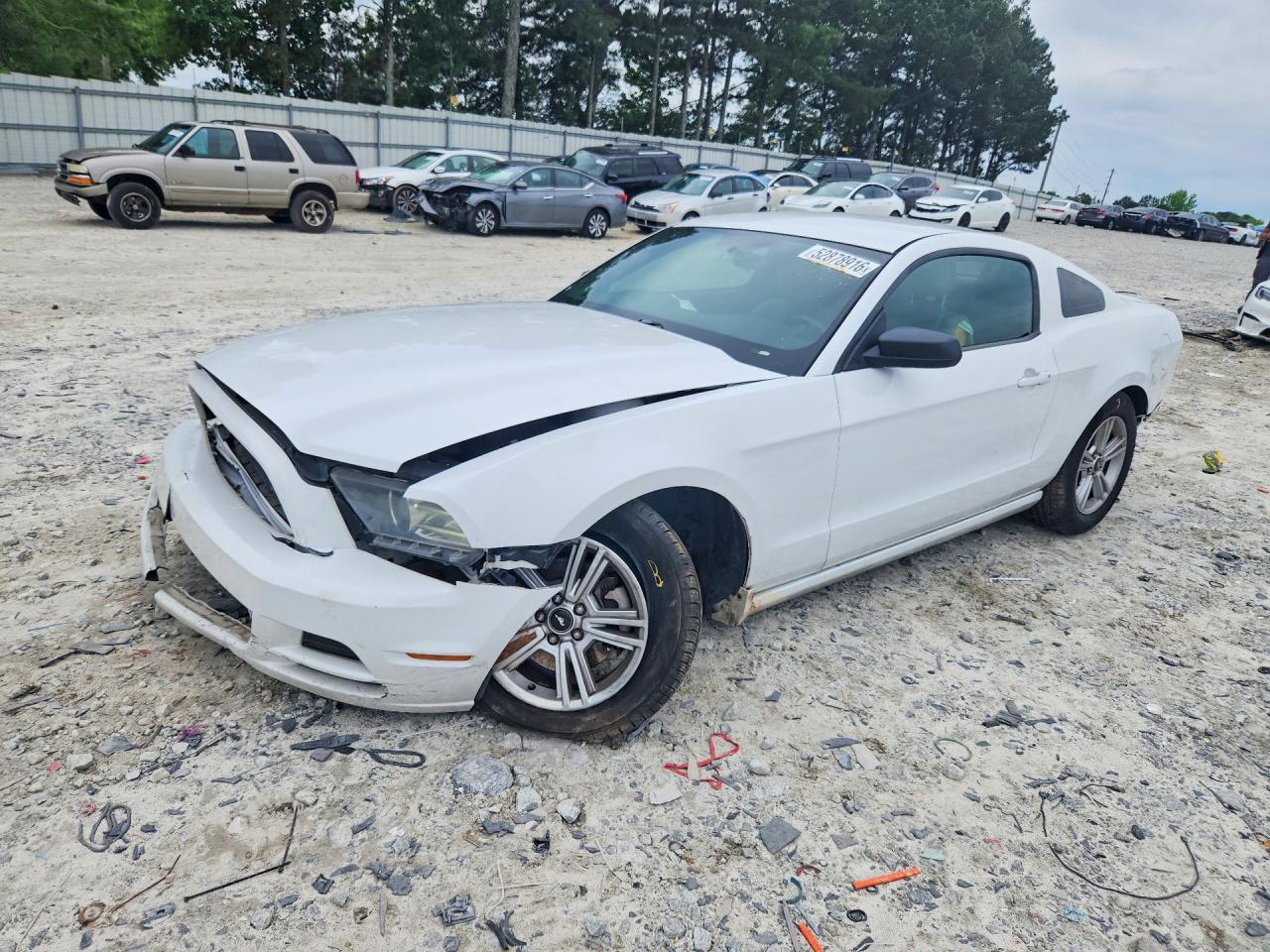 Salvage Ford Mustang Image