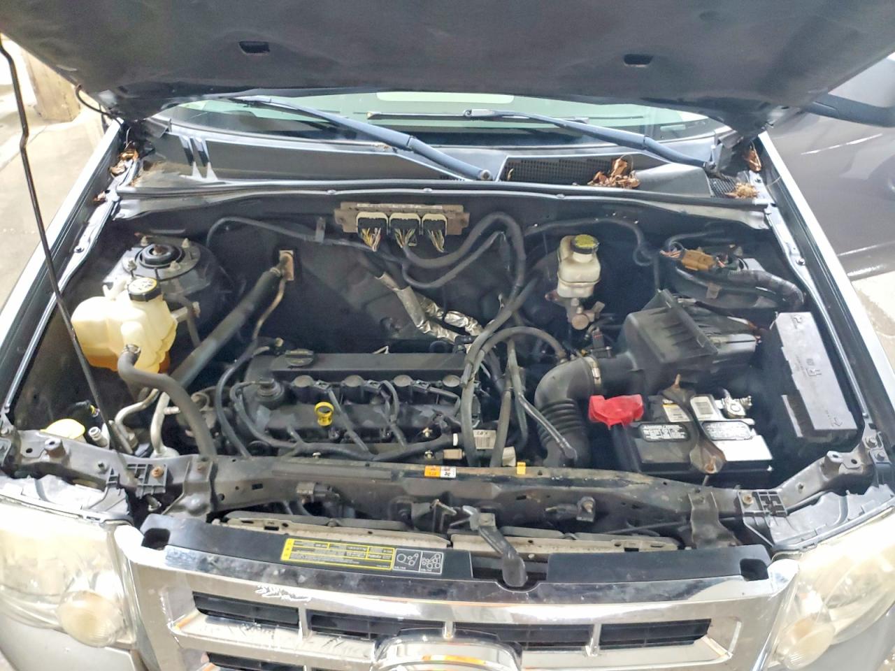 Ford Escape Xls
