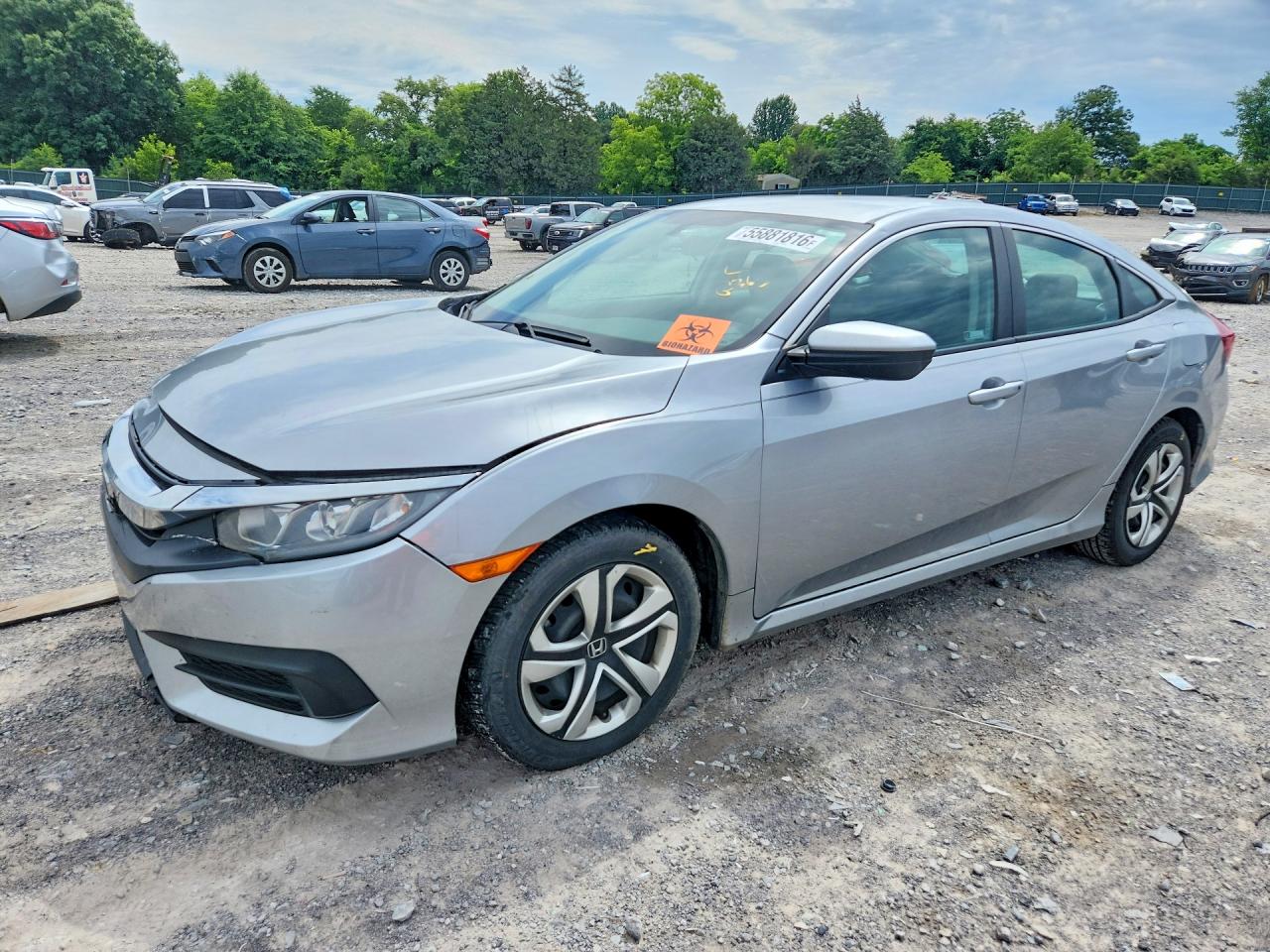 Salvage Honda Civic Image