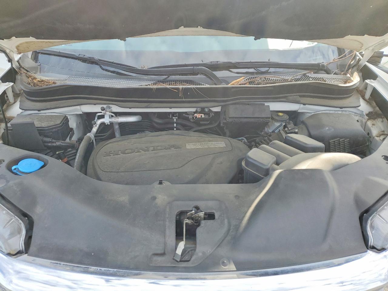Honda Pilot Exl