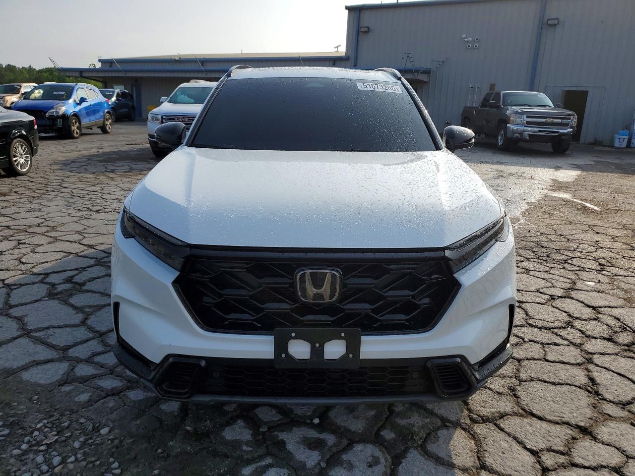 Honda Crv Sport-l