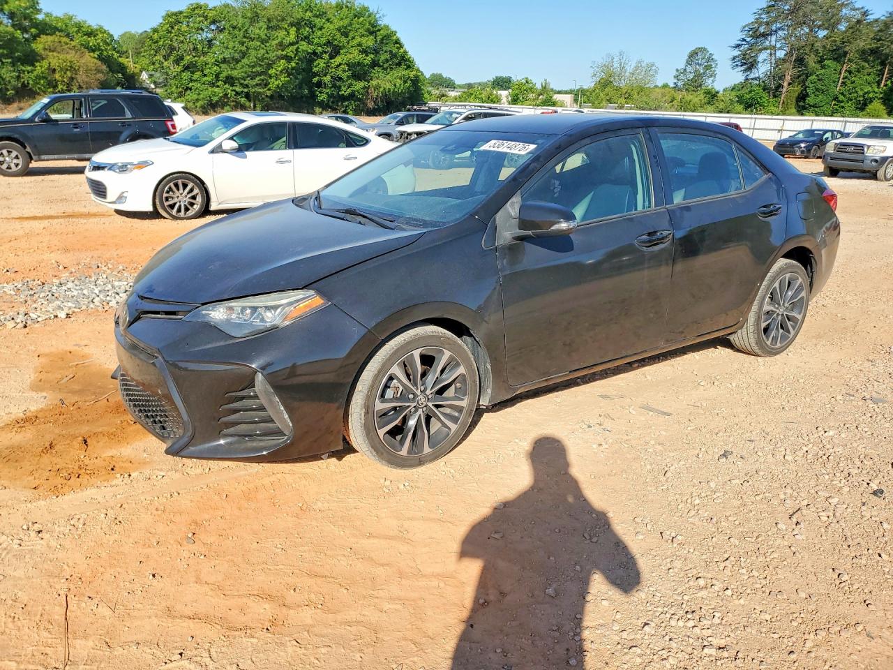 Salvage Toyota Corolla Image