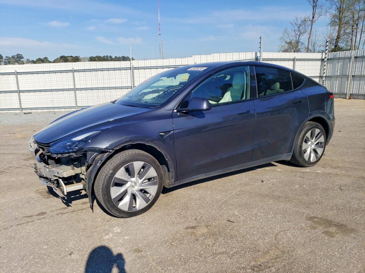 Salvage Tesla Model Y Image