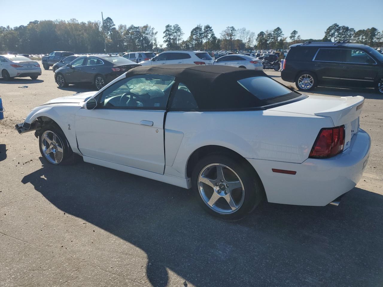 Ford Mustang Cobra Svt