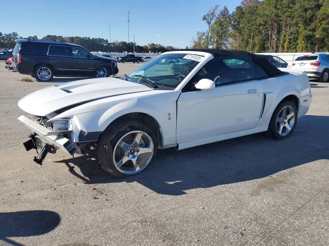 Salvage Ford Mustang Image