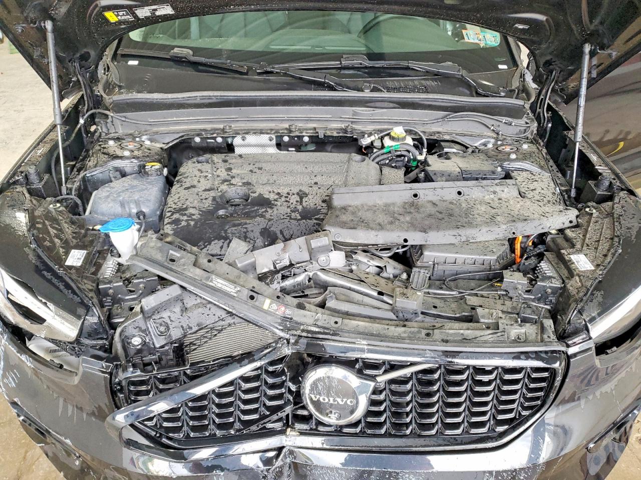 Volvo XC40 Plus