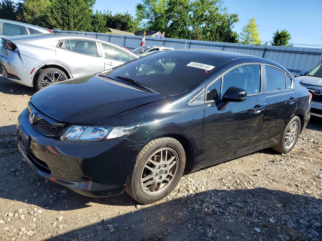 Salvage Honda Civic Image