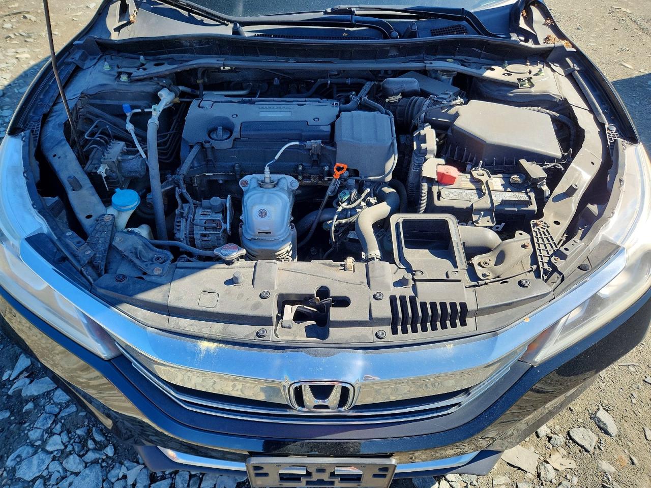 Honda Accord Sport Special Edition