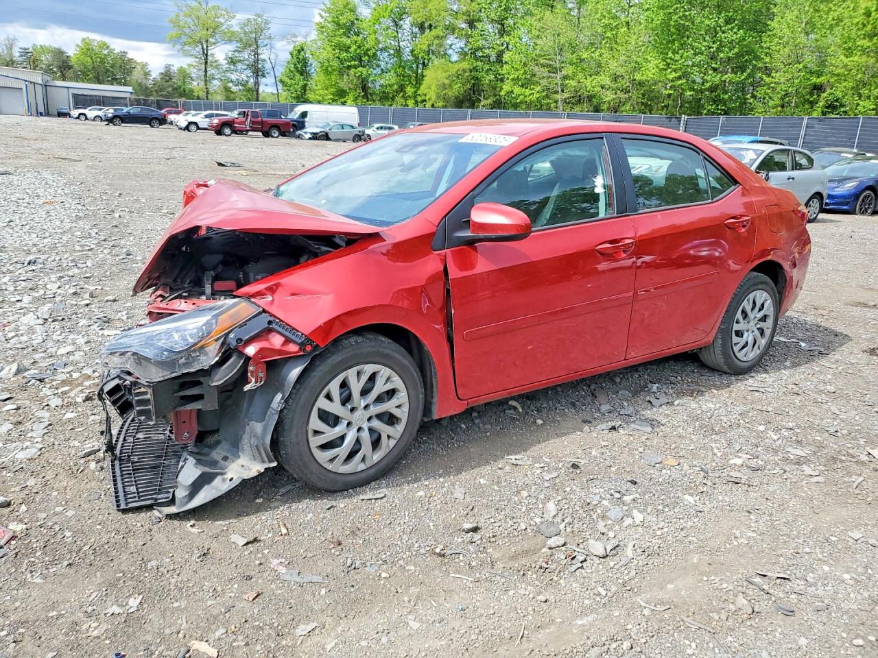 Salvage Toyota Corolla Image