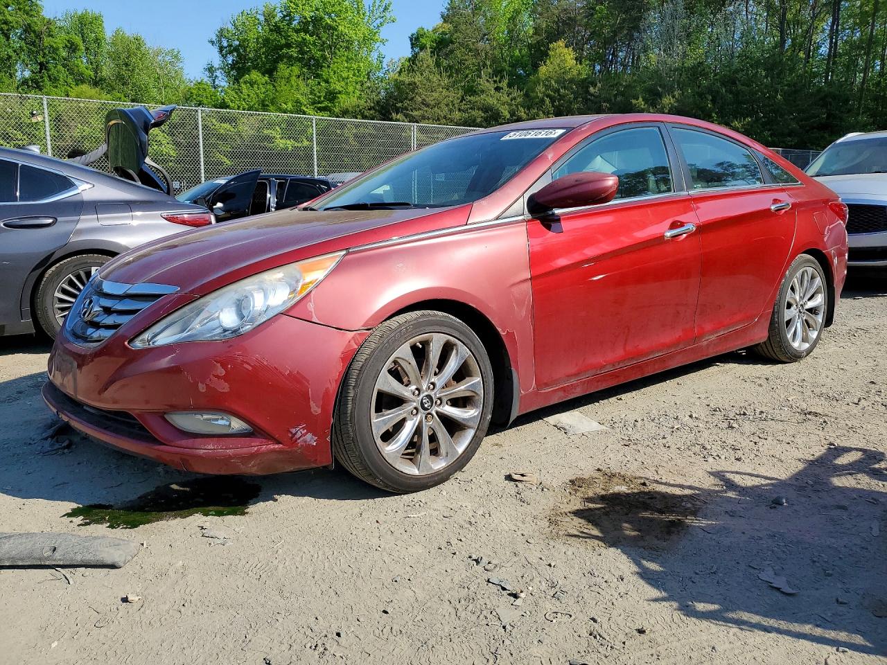 Salvage Hyundai SONATA Image
