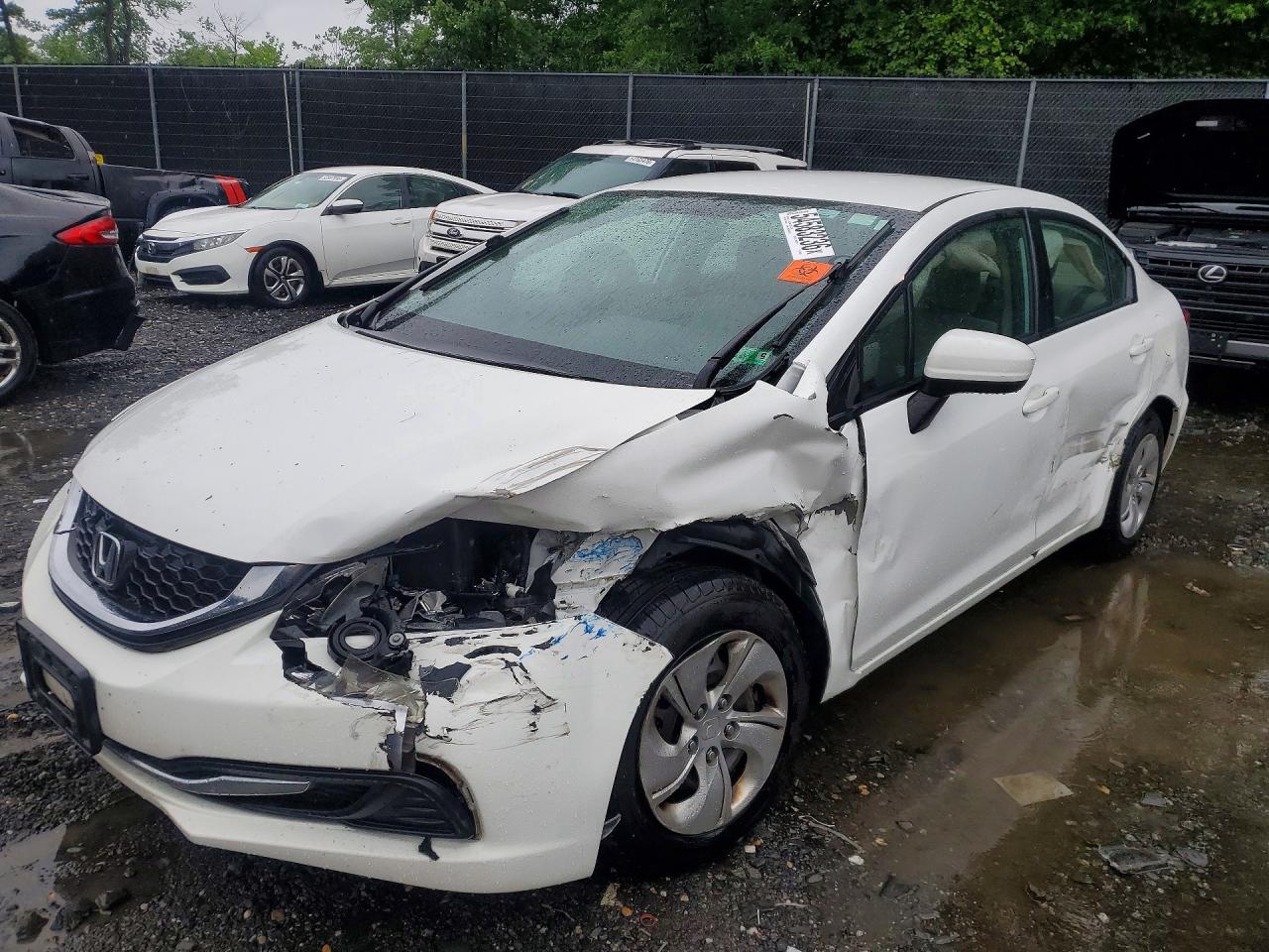 Salvage Honda Civic Image
