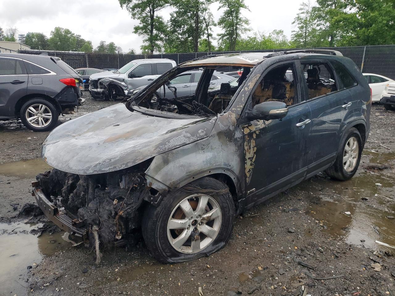 Salvage Kia Sorento Image