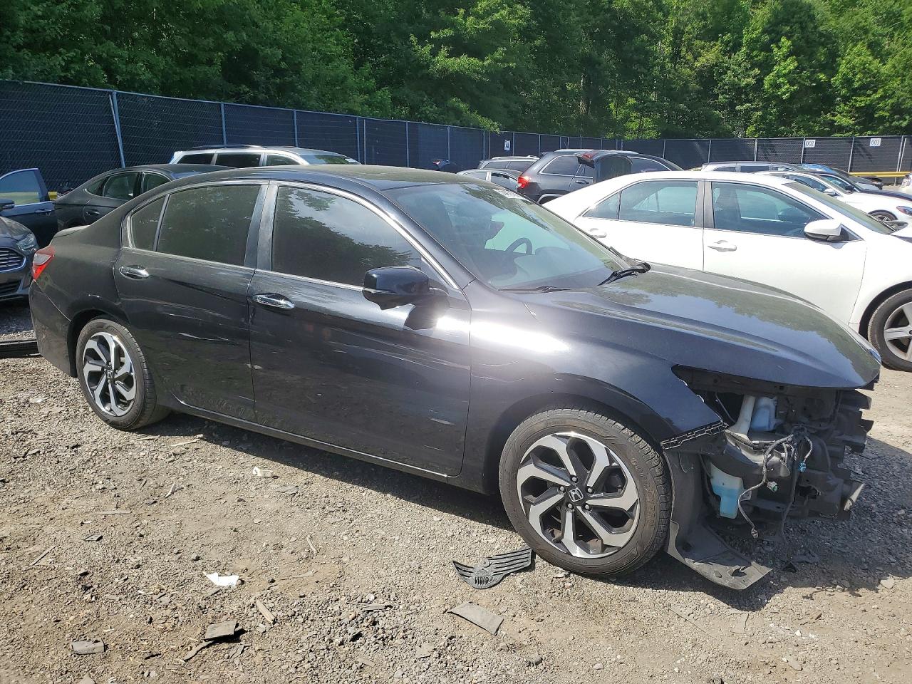 Honda Accord Exl