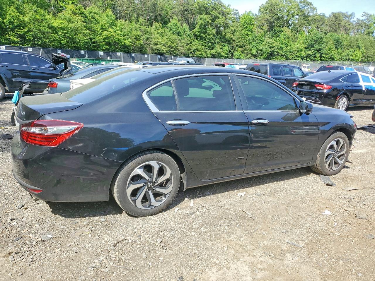 Honda Accord Exl