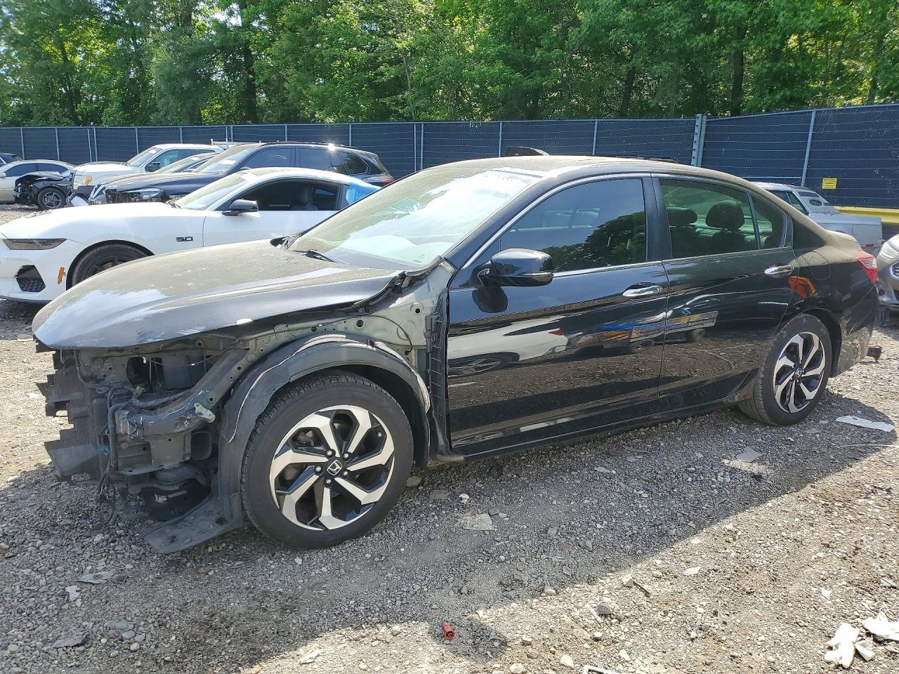Salvage Honda Accord Image