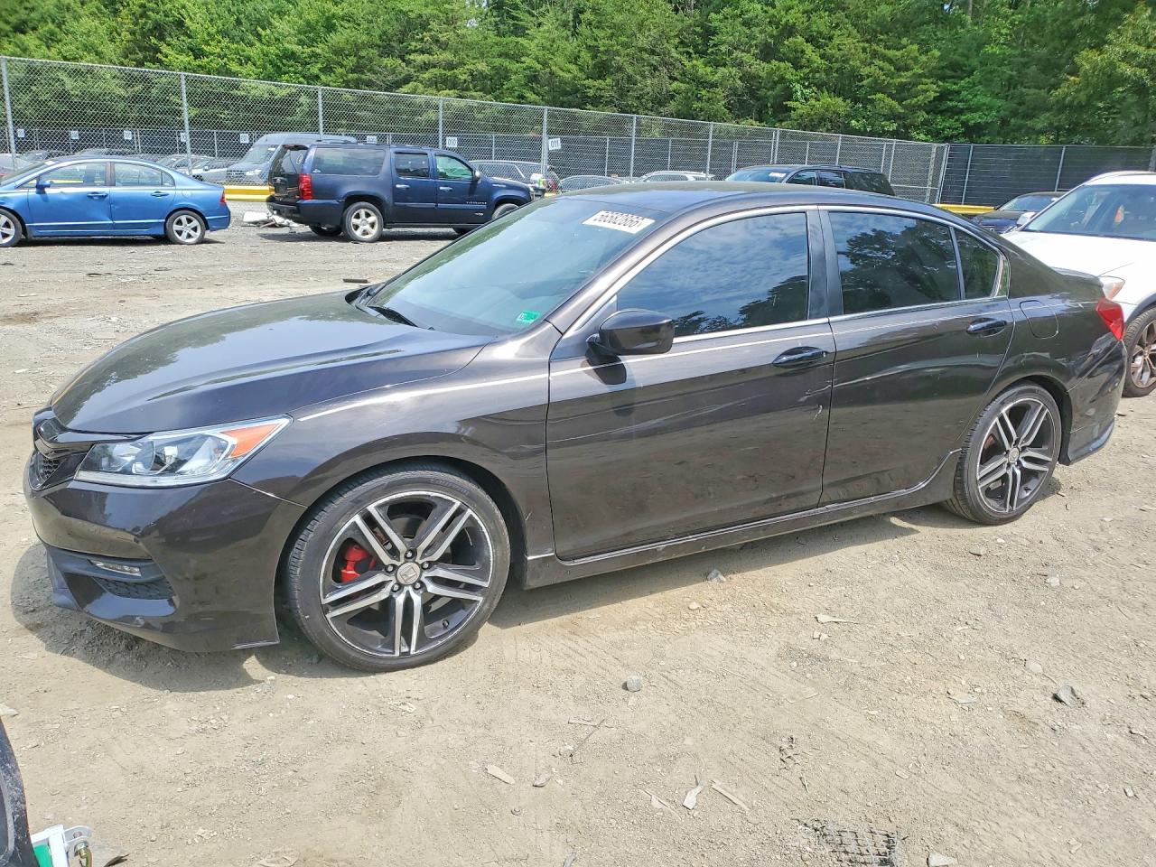 Salvage Honda Accord Image