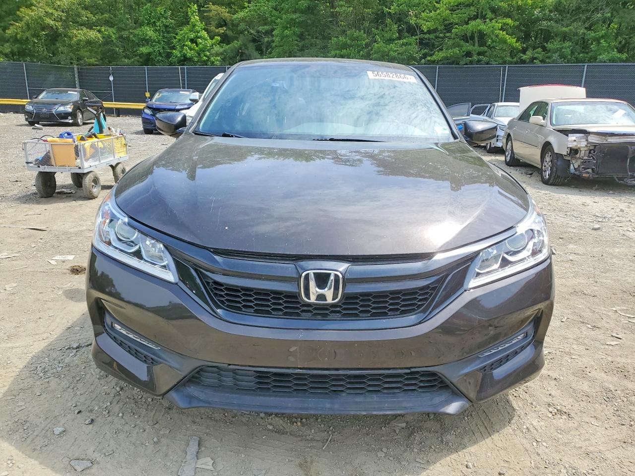 Honda Accord Sport