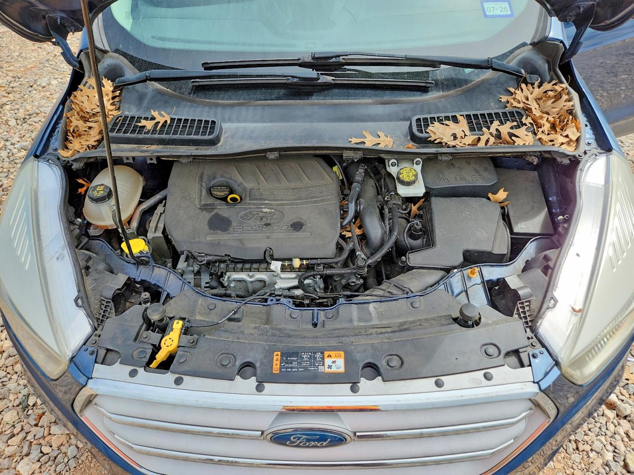 Ford Escape Se