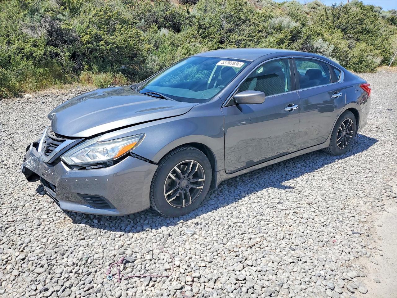 Salvage Nissan Altima Image
